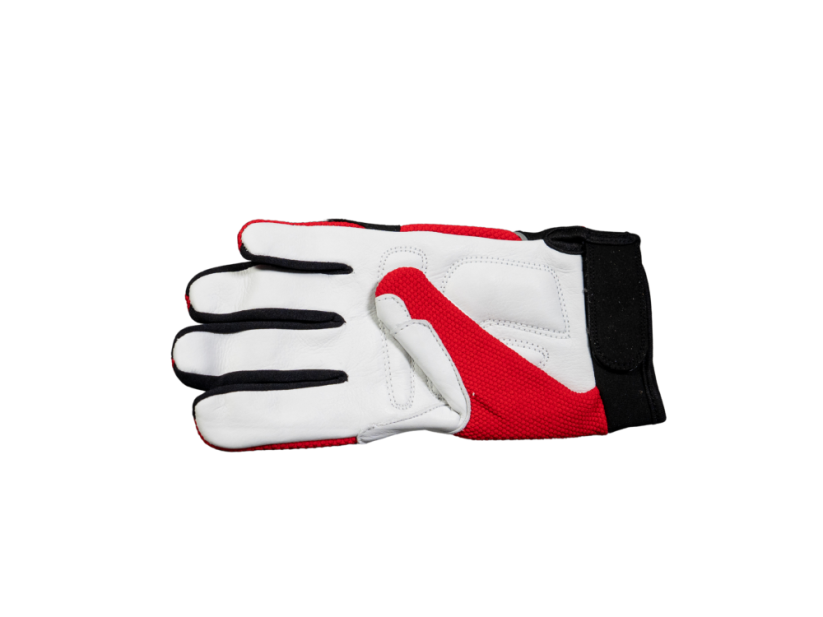 Endurance Gloves Women